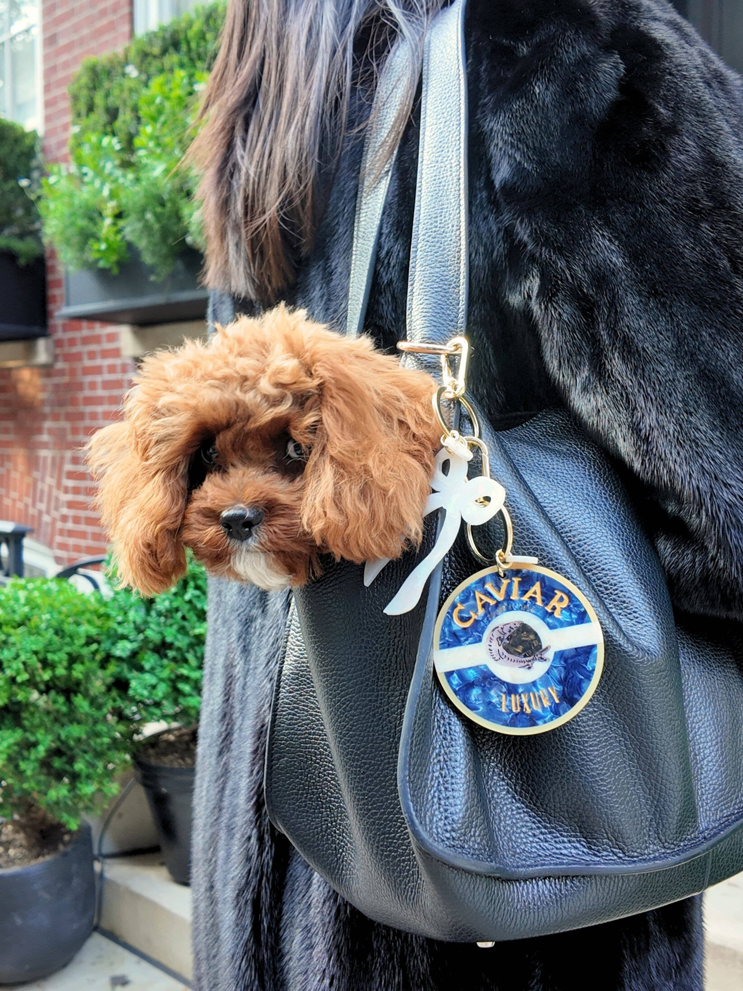 Hand-painted Caviar Bag Charm + Keychain | Solar Eclipse