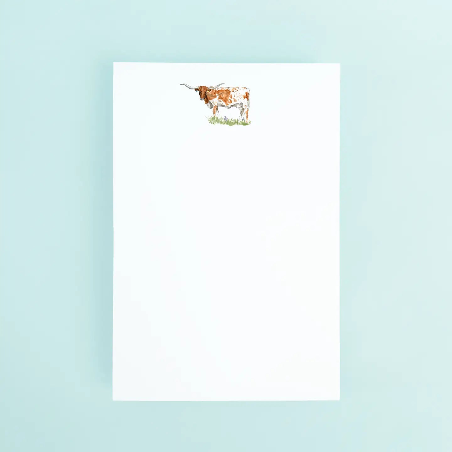Texas Notepad | Taylor Paladino