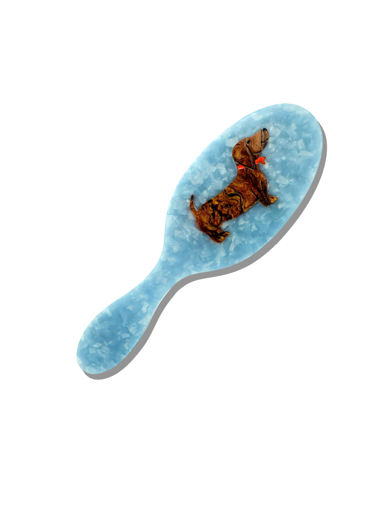 Hand-painted Dachshund Acetate 2-1 Daily Hair Brush