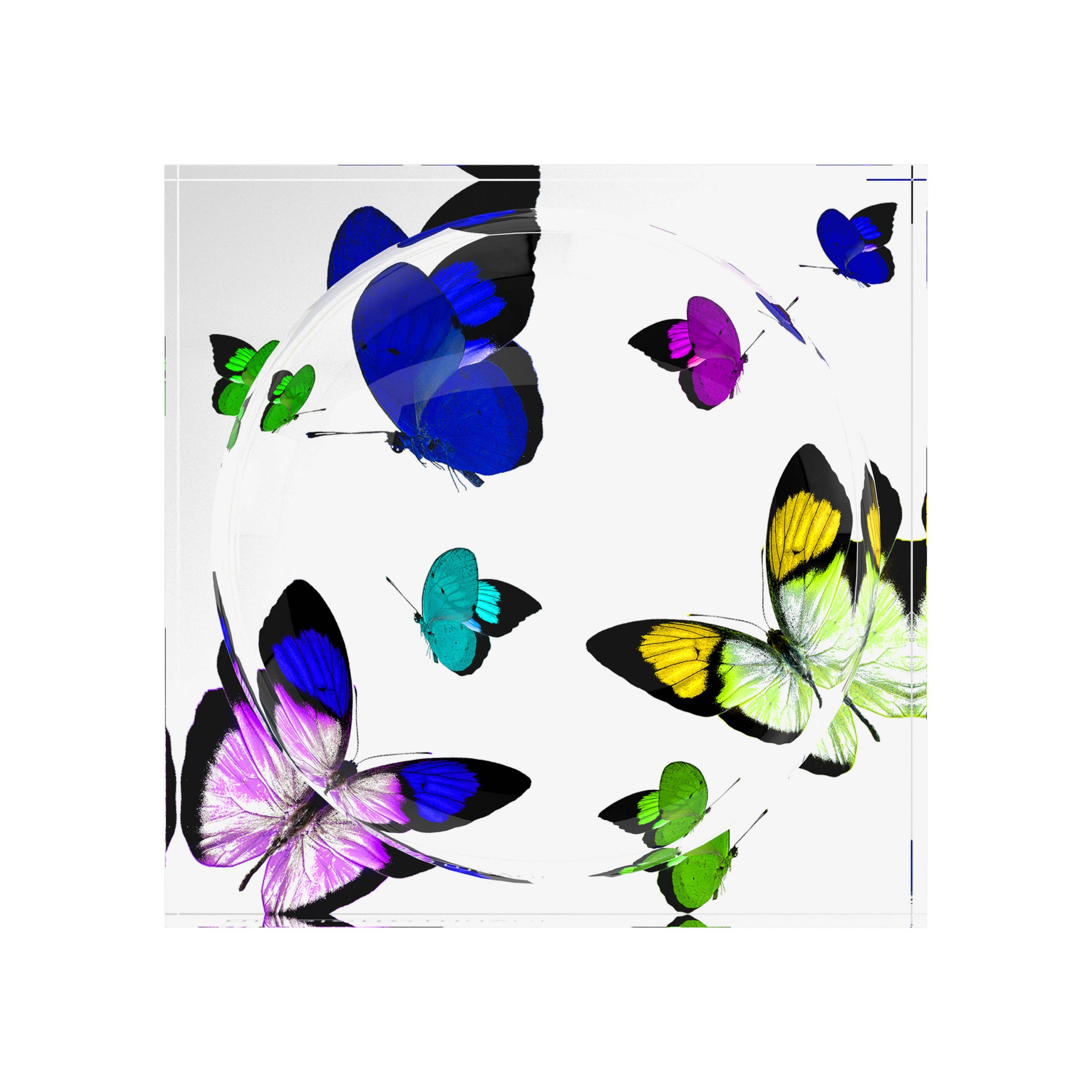Butterflies Acid Blue Acrylic Candy Catchall Dish