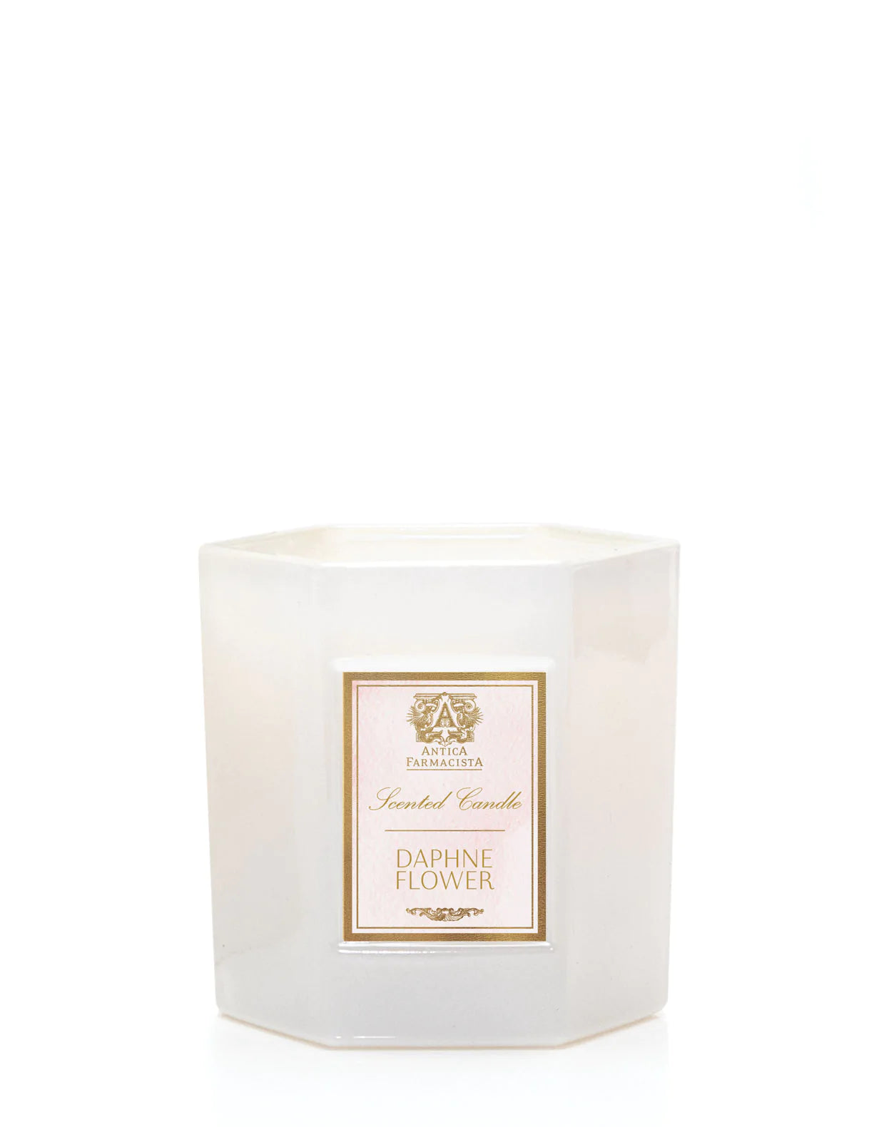 Candles (9oz) | Antica Famacista
