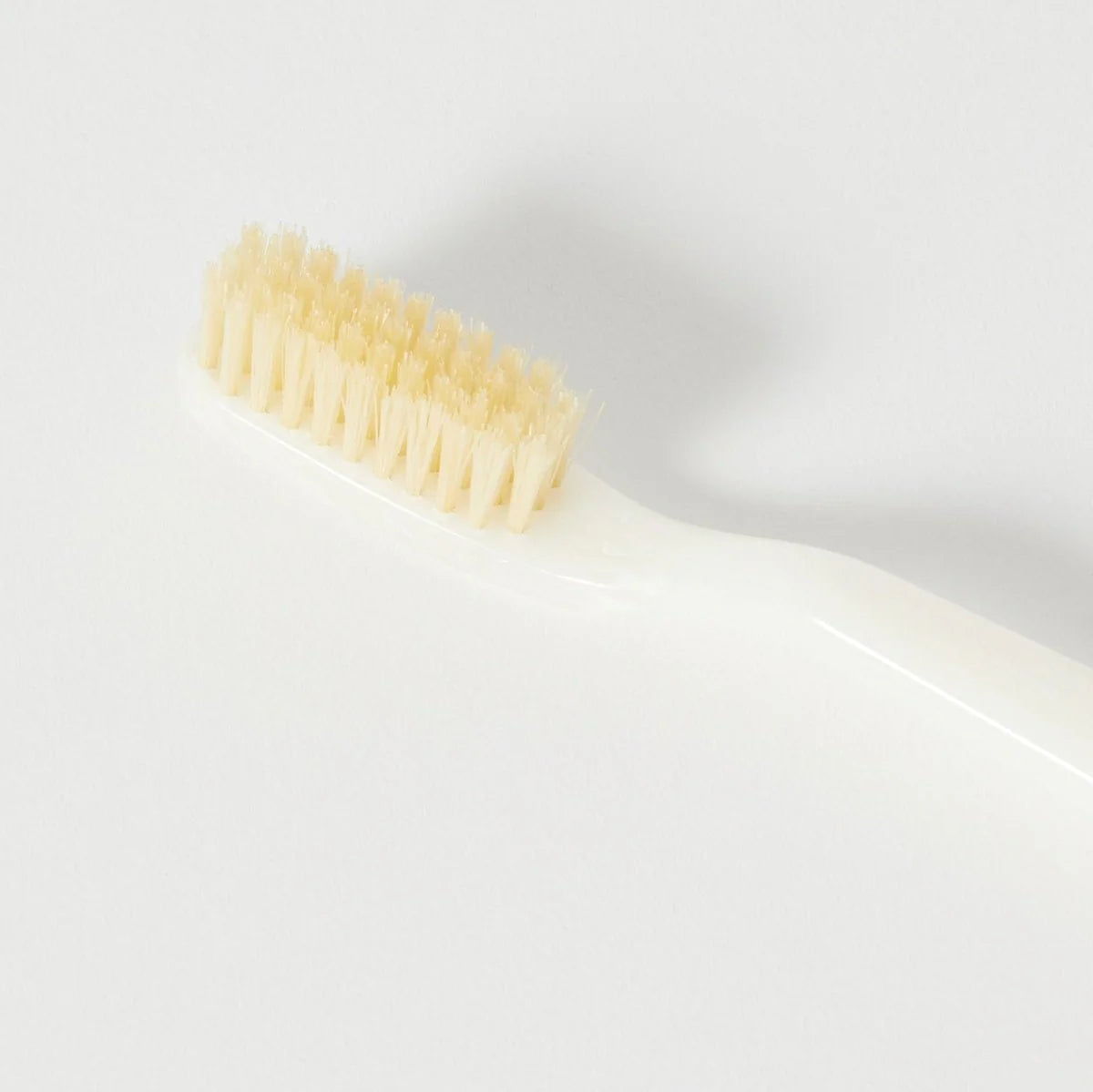Natural Bristle Toothbrush - Medium Ivory | C.O. Bigelow