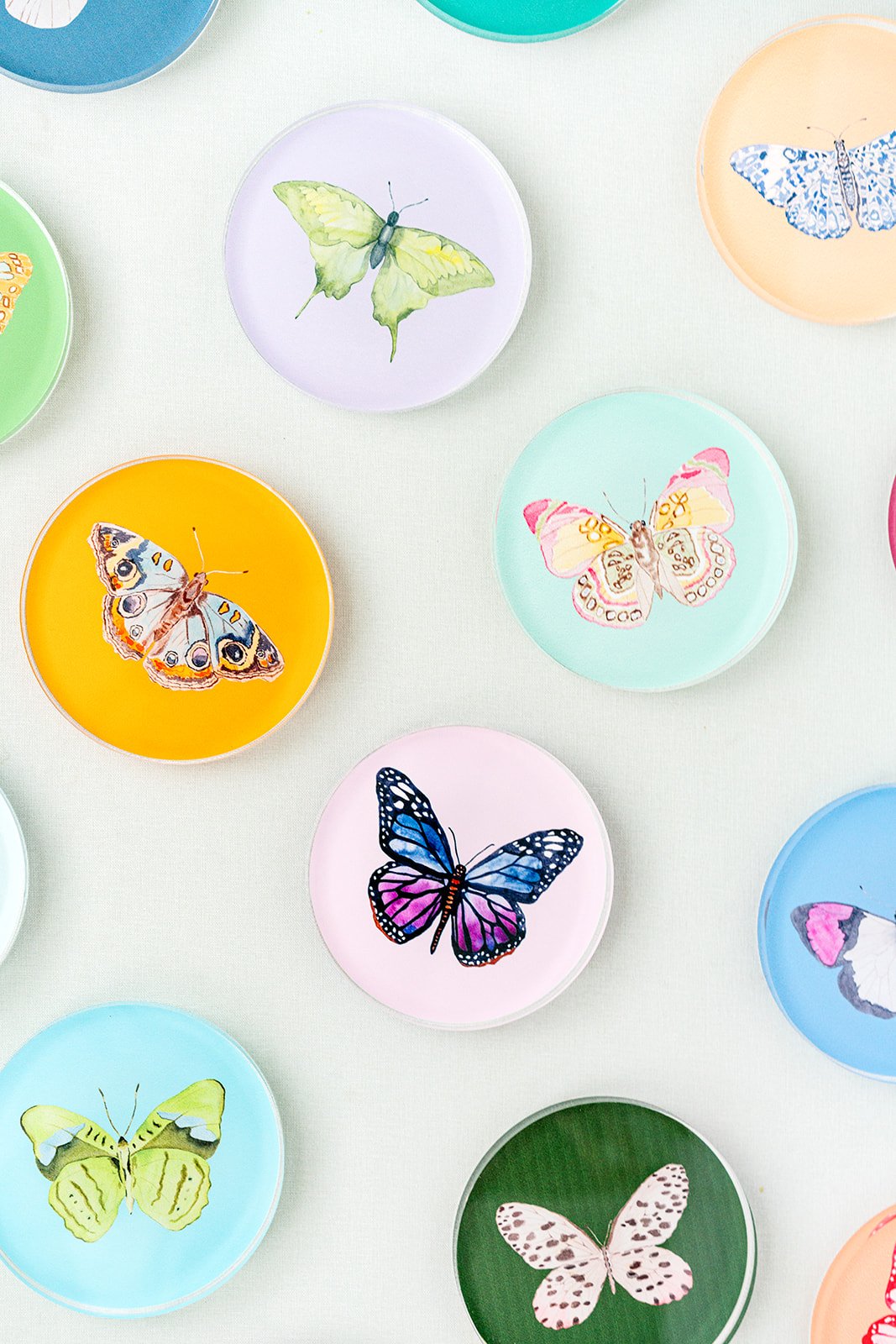 Acrylic Butterfly Coaster Set | Catherine Cartie