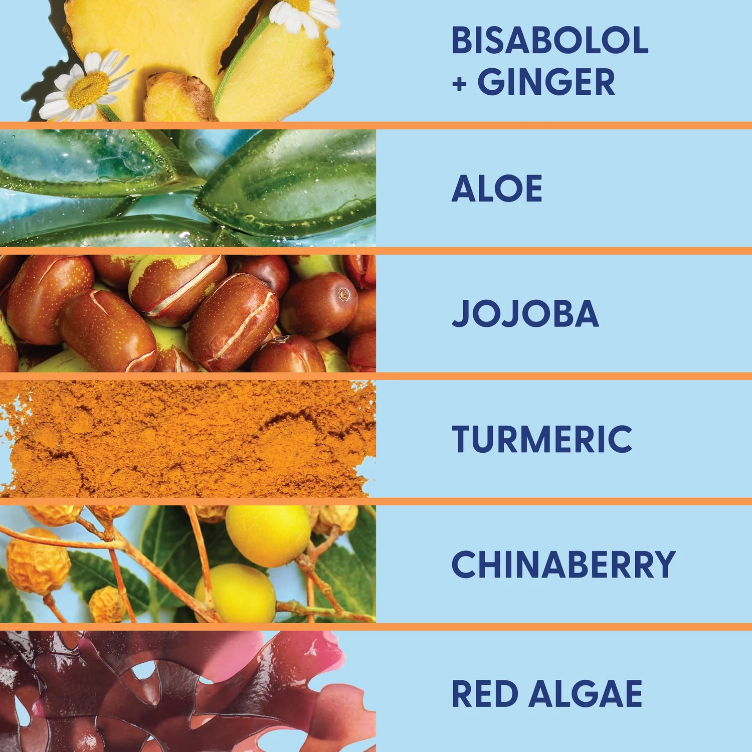 Clean Beam Balmy Dream | Saint Crewe