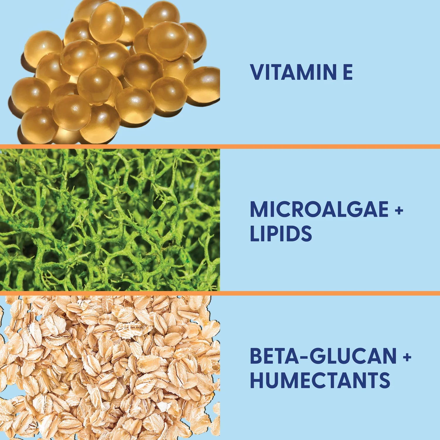 Water Whip | Saint Crewe