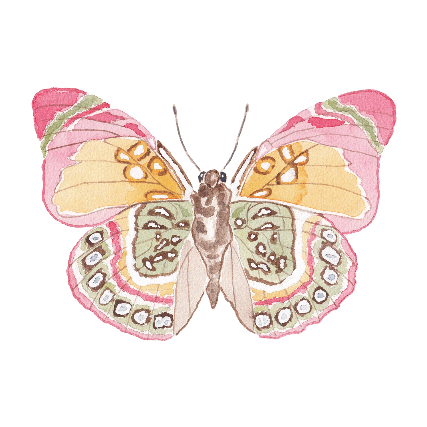 Pink & Green Butterfly Acrylic Art Block | Catherine Cartie