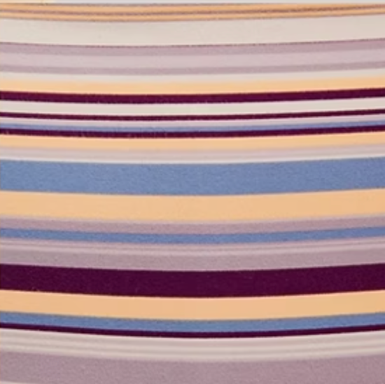 Never Better Crop Printed | FP Movement