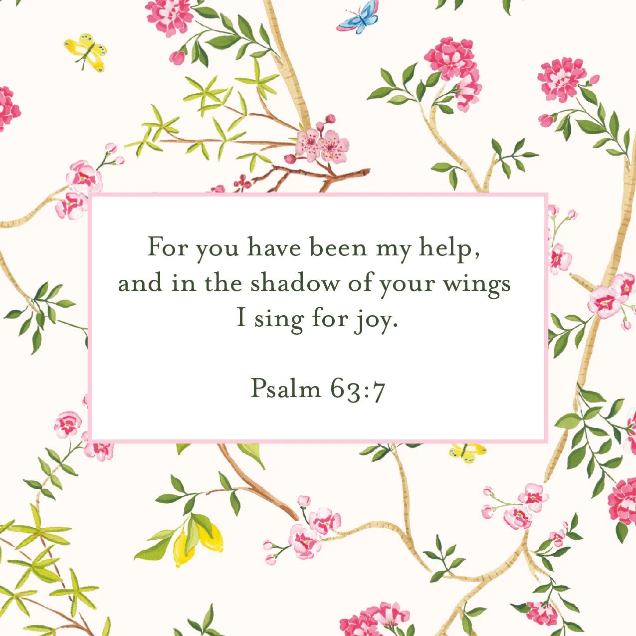 Women's Scripture Cards | Catherine Cartie