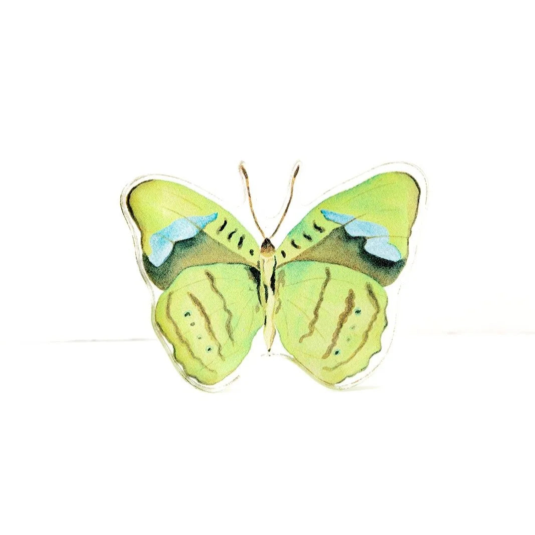 Green Butterfly Acrylic Art Block | Catherine Cartie