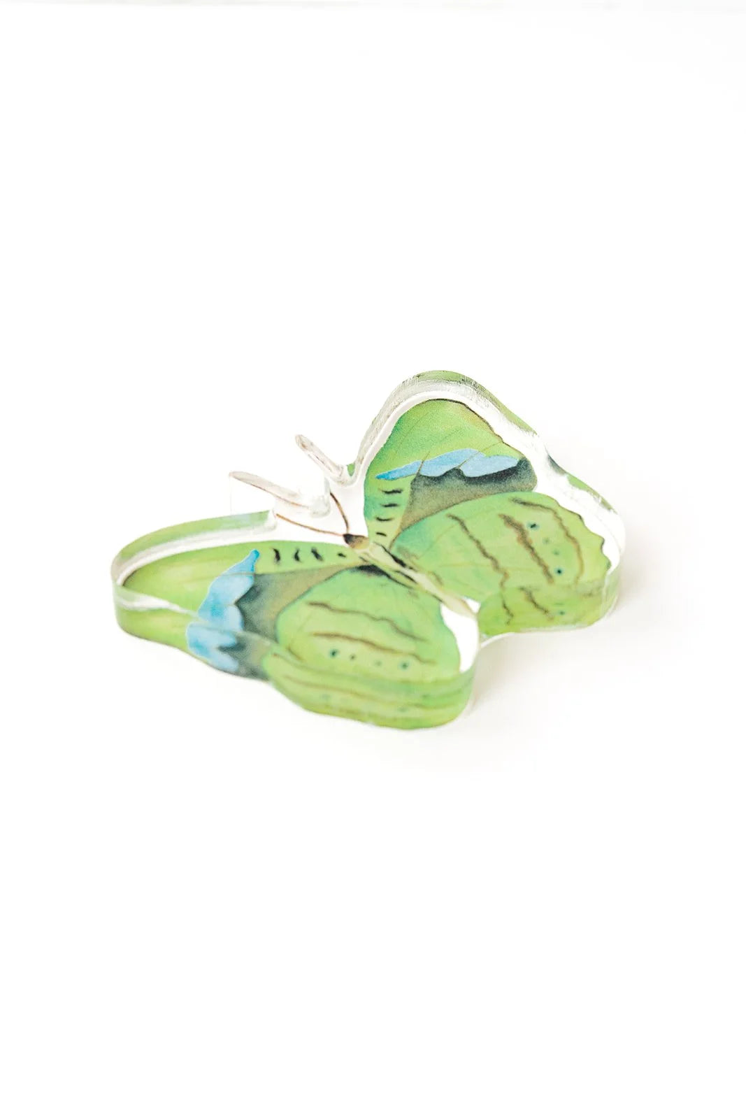 Green Butterfly Acrylic Art Block | Catherine Cartie