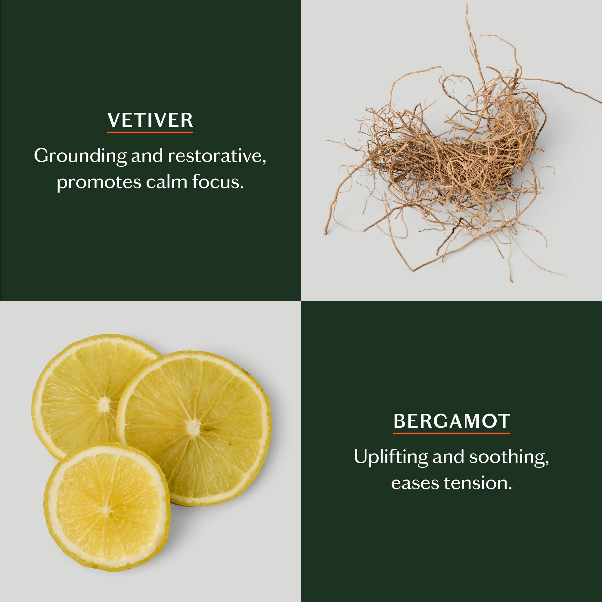 Grounding Stone - Deep Moisturizing Lotion Bar | Kate McLeod