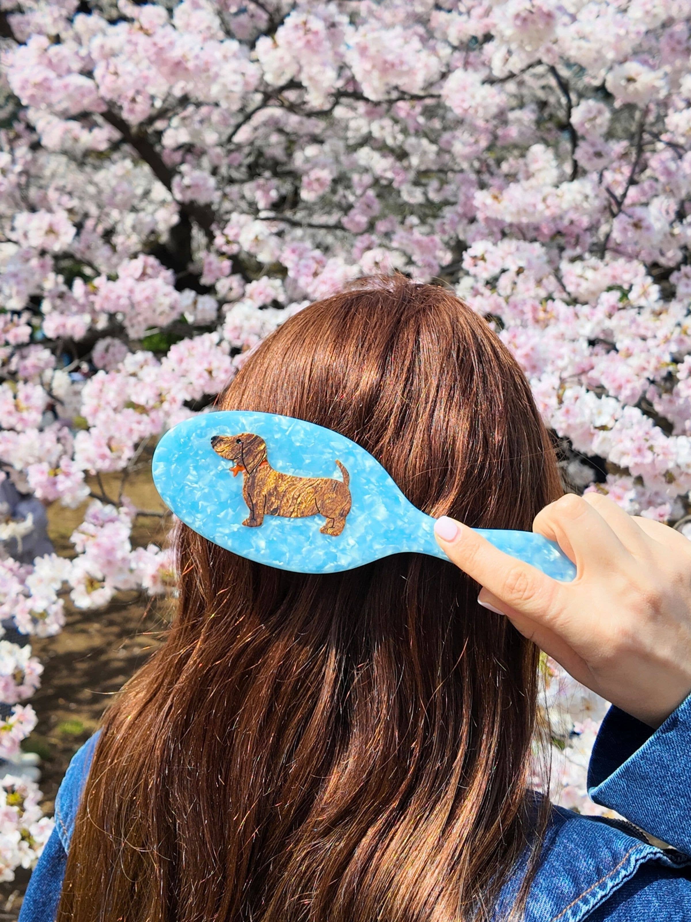 Hand-painted Dachshund Acetate 2-1 Daily Hair Brush