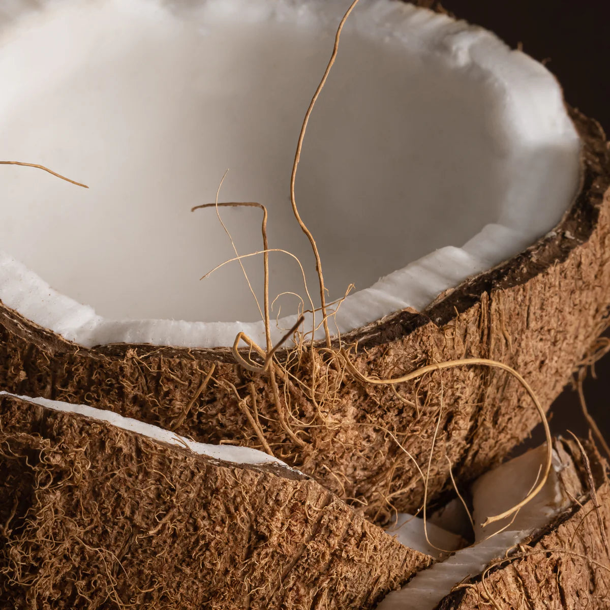 Pura Car Fragrance Refill - Coconut Calm | Becki Owens