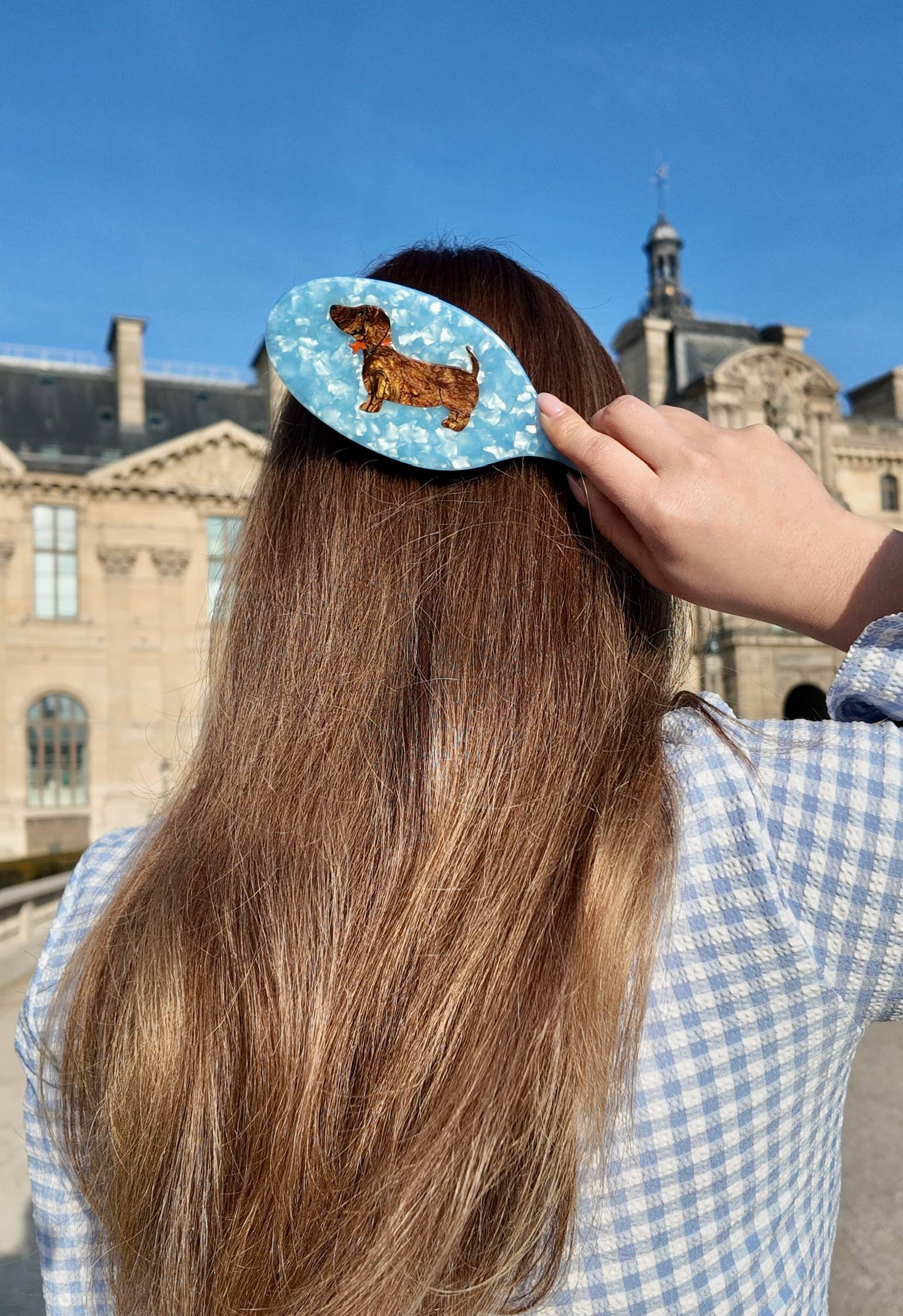 Hand-painted Dachshund Acetate 2-1 Daily Hair Brush