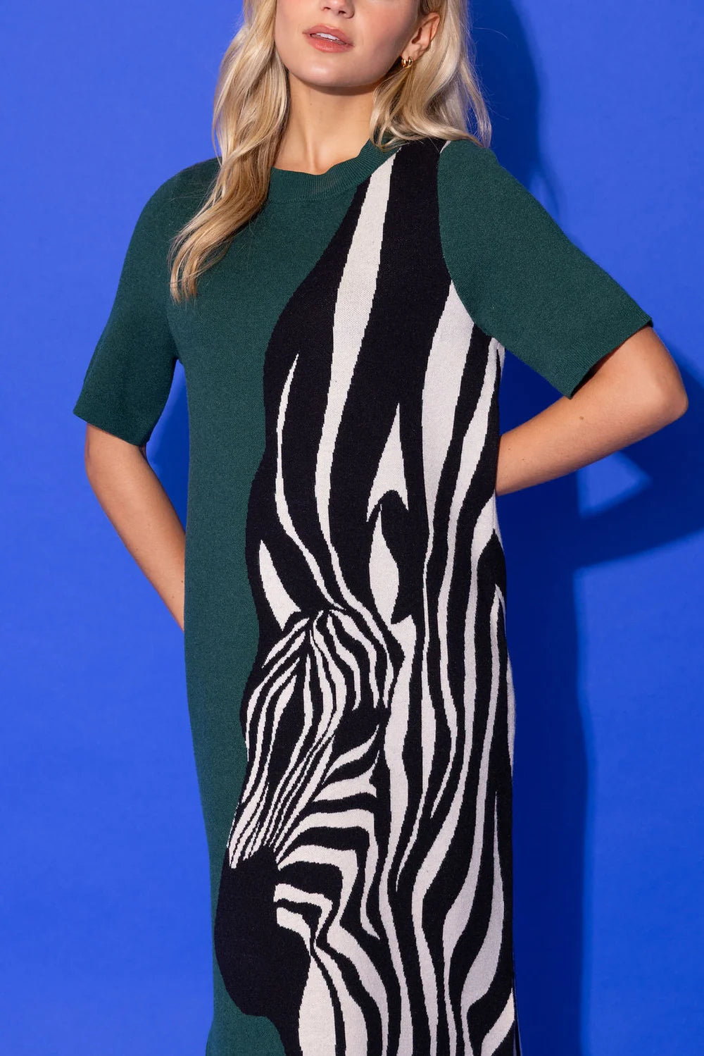 Scout Dress - Wild Silhouette | Alden Adair