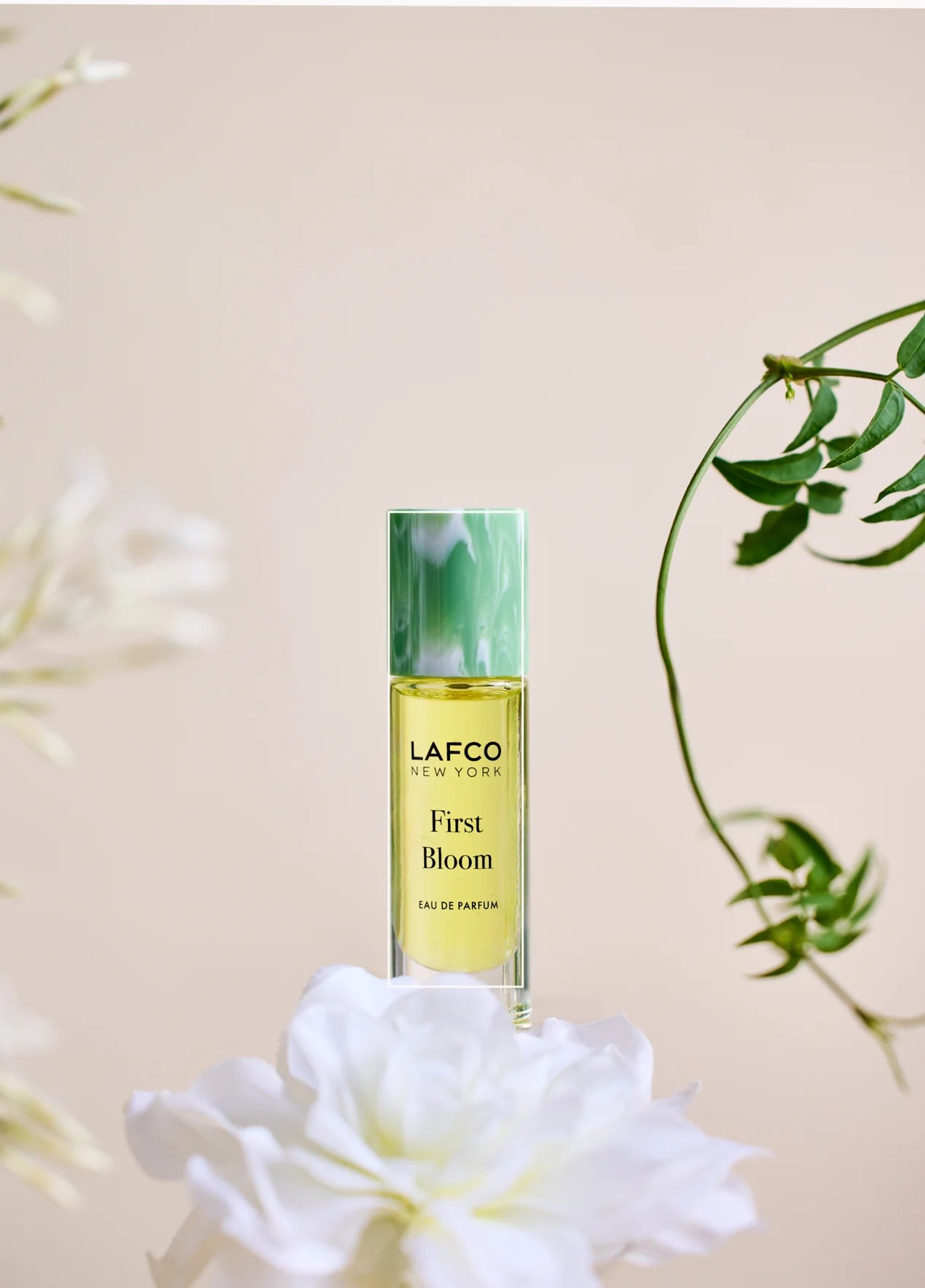 Eau de Parfum | Lafco