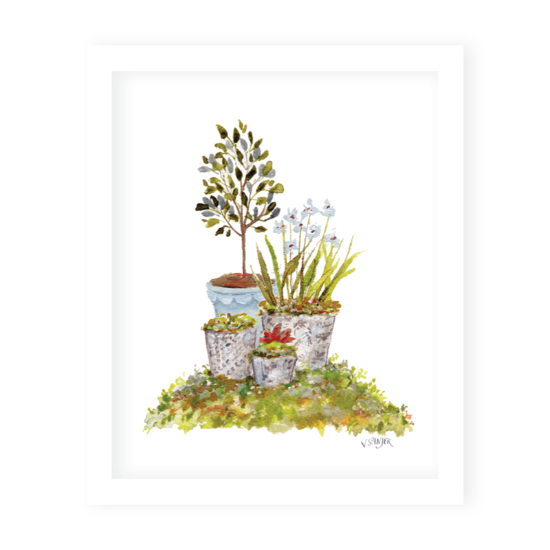 Magnolia Garden Topiaries 5x7 Inch Art Print