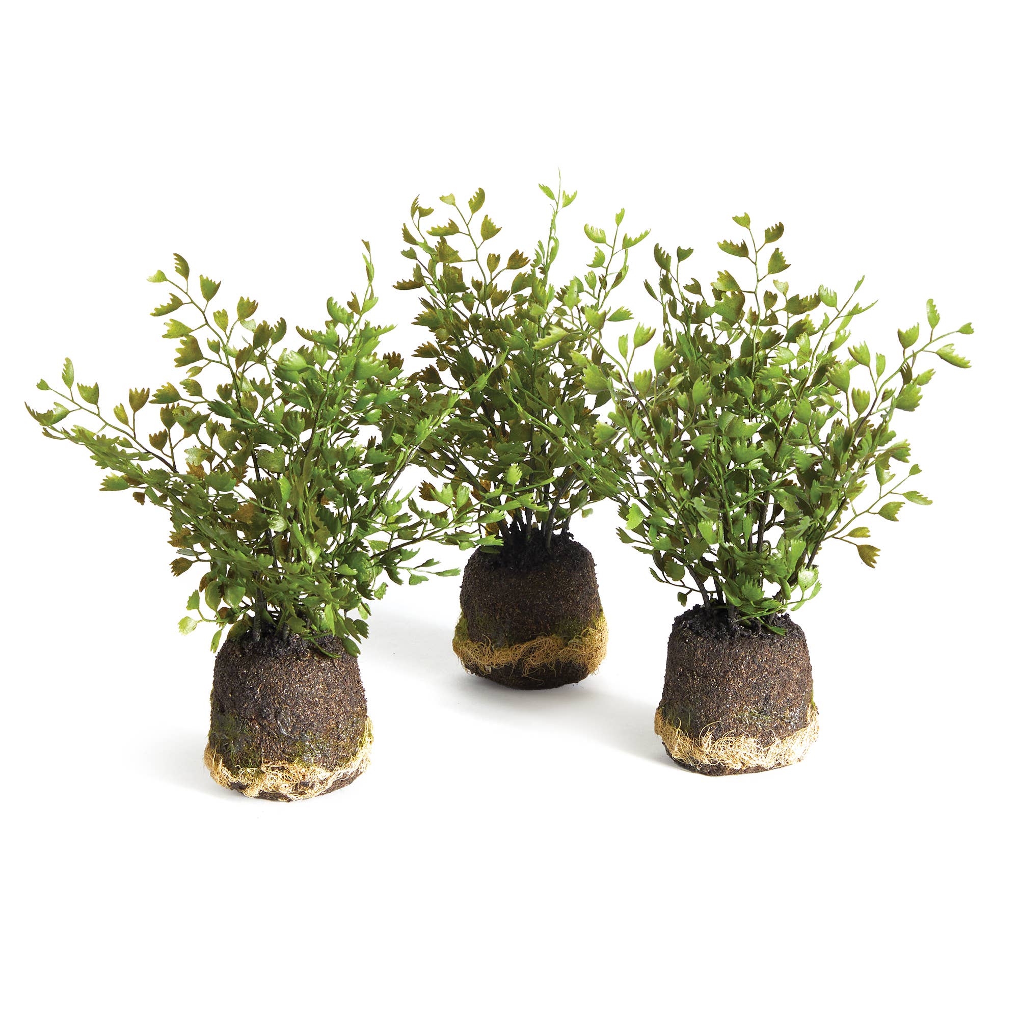 Maidenhair Drop-Ins, Set Of 3 | NAPA Home