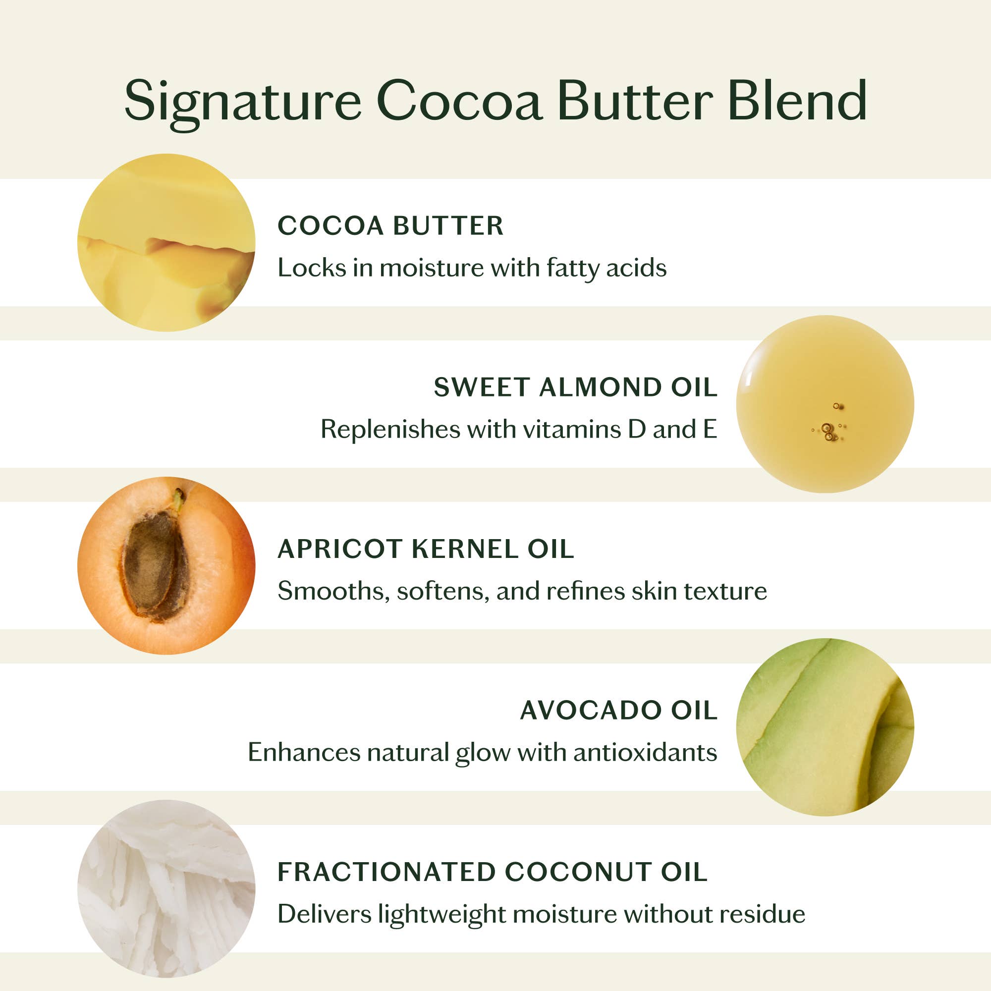Daily Stone - Deep Moisturizing Lotion Bar | Kate McLeod