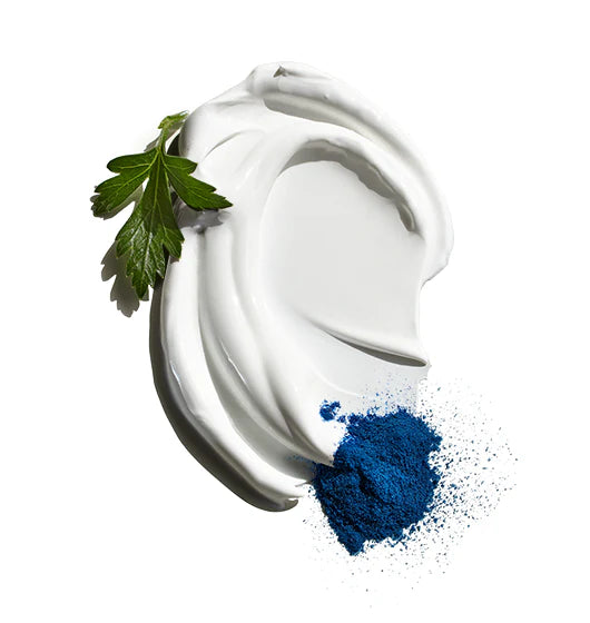 Double-Duty Face Moisturizer SPF 20 | Jack Black