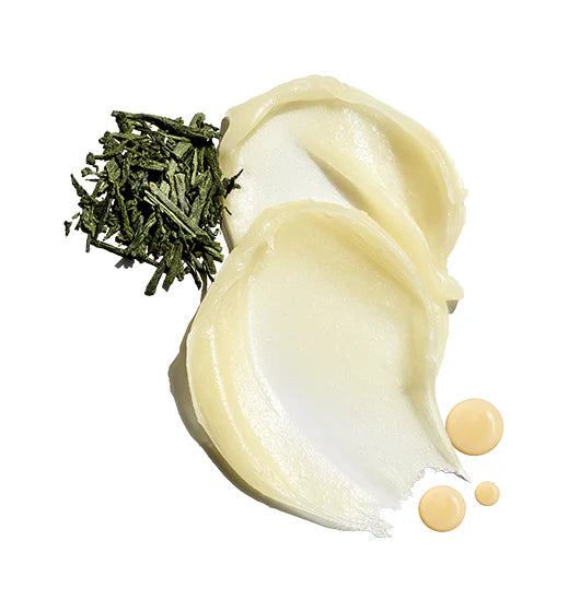 Natural Mint & Shea Butter Intense Therapy Lip Balm (SPF 25) | Jack Black