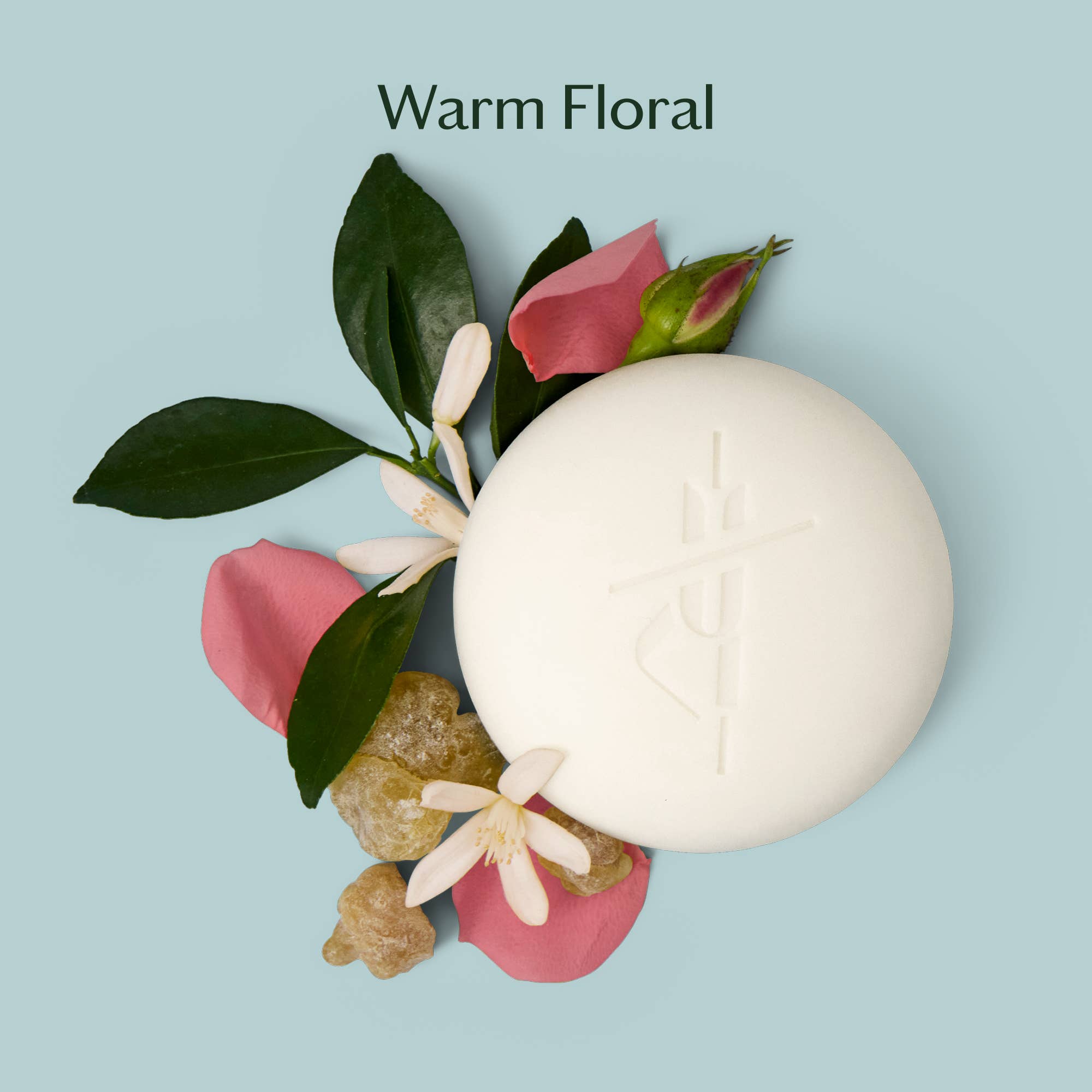 Daily Stone - Deep Moisturizing Lotion Bar | Kate McLeod