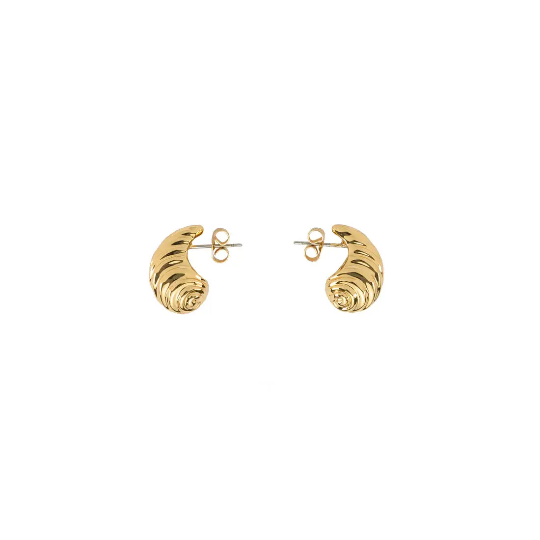 Small Shell Earrings | Brenda Grands