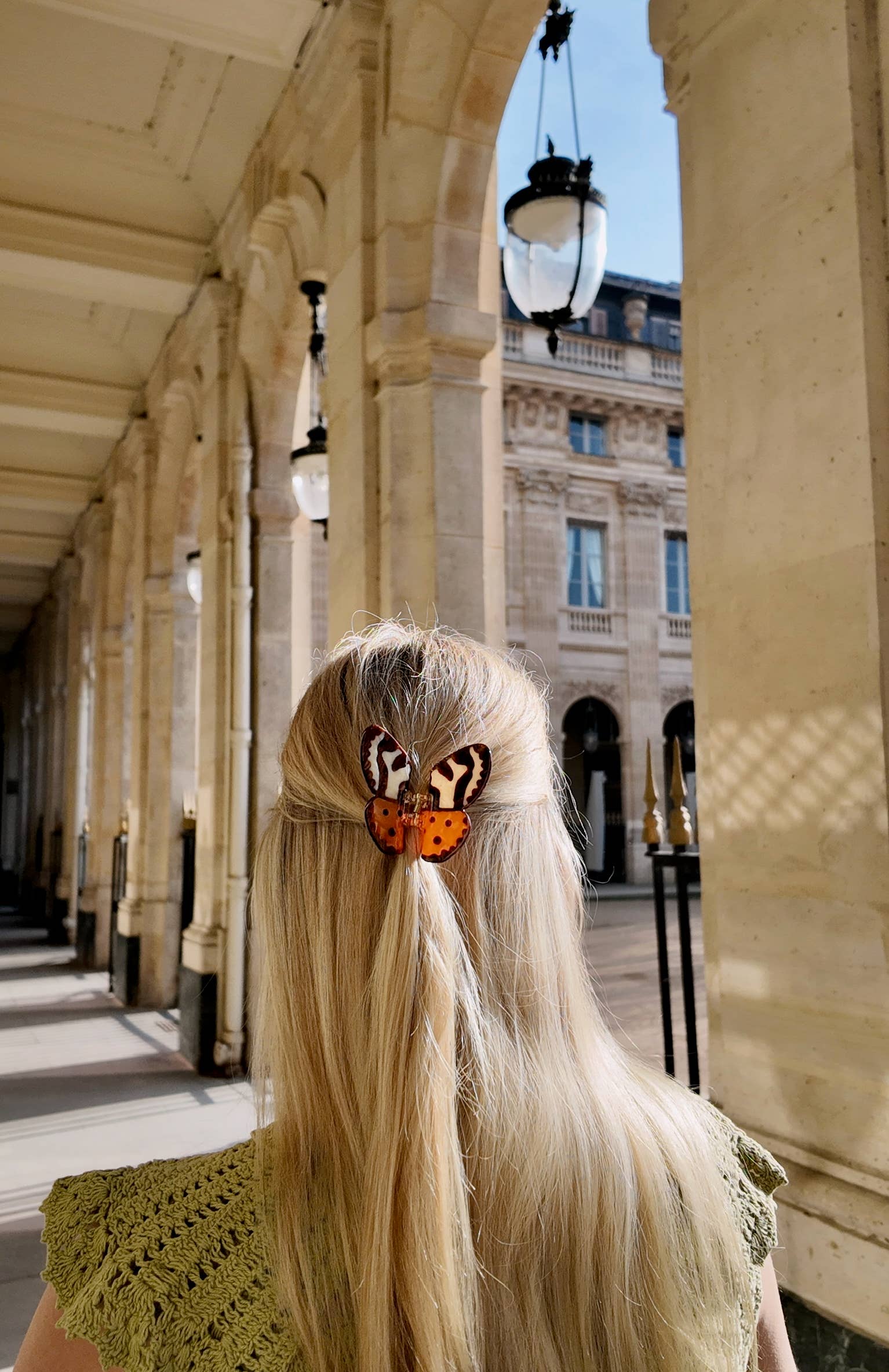Hand-painted Tiger Moth Claw Hair Clip | Solar Eclipse