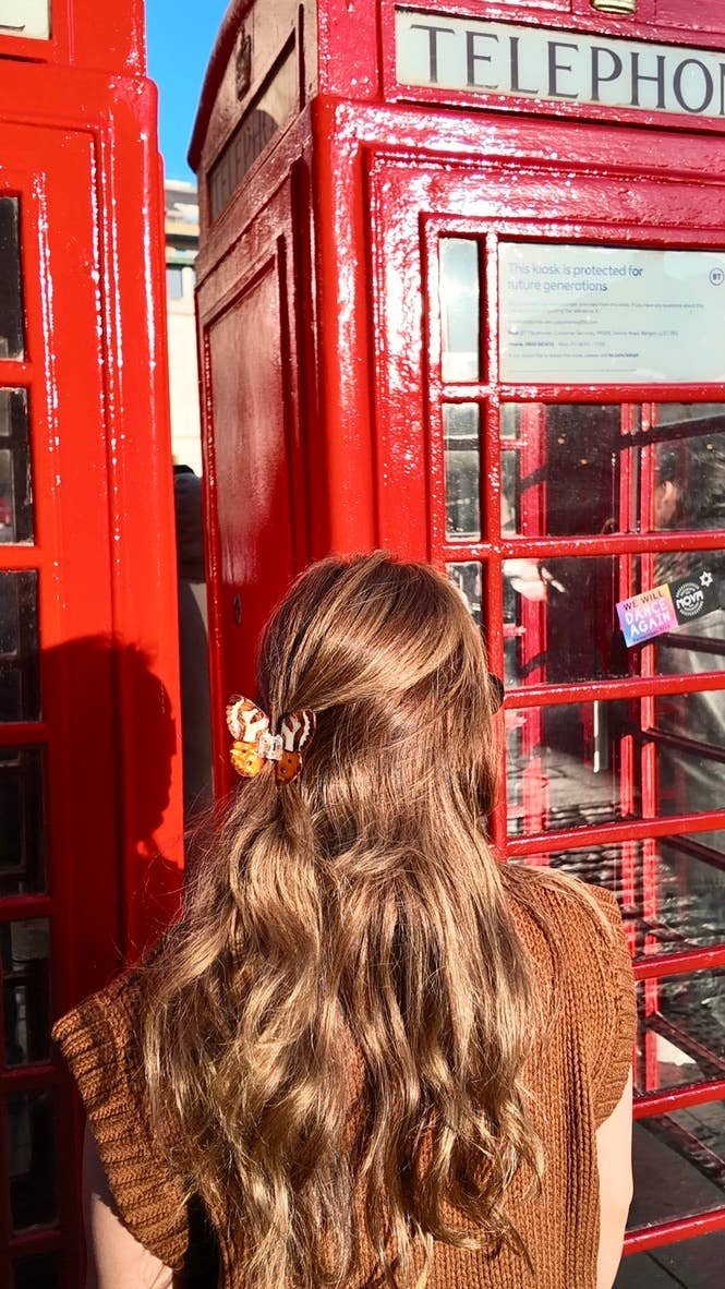 Hand-painted Tiger Moth Claw Hair Clip | Solar Eclipse