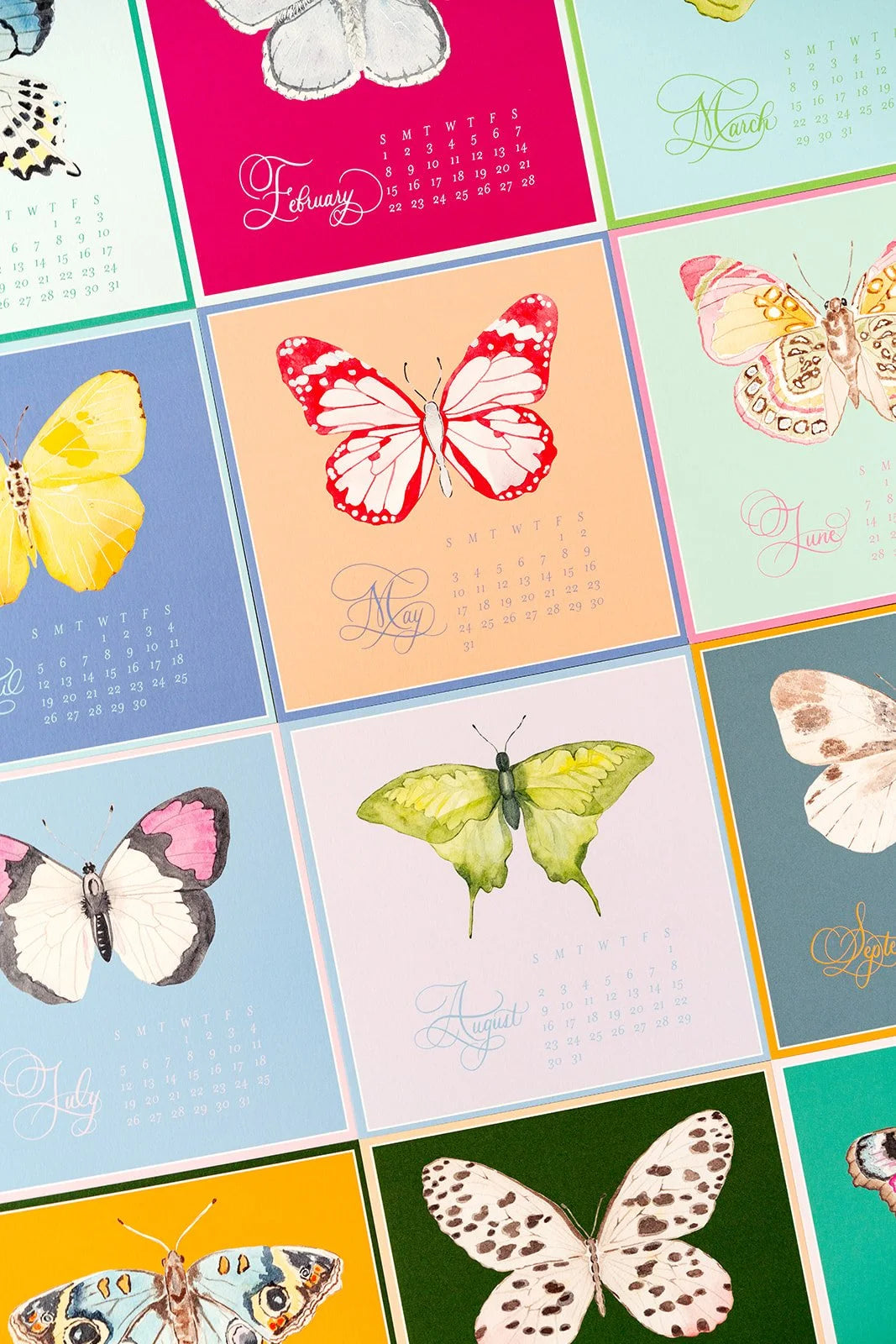 2026 Butterflies Calendar (With Easel) | Catherine Cartie