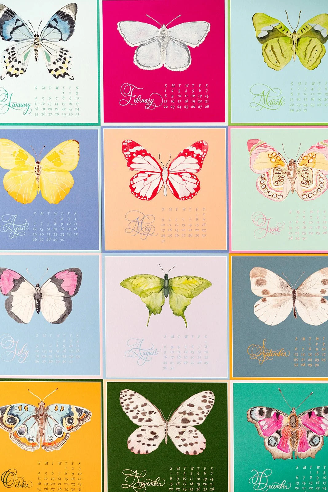 2026 Butterflies Calendar (With Easel) | Catherine Cartie