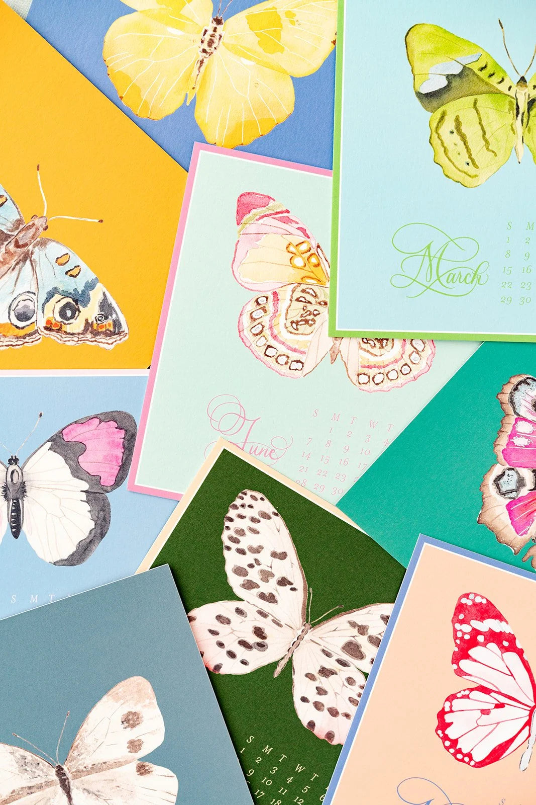 2026 Butterflies Calendar (With Easel) | Catherine Cartie