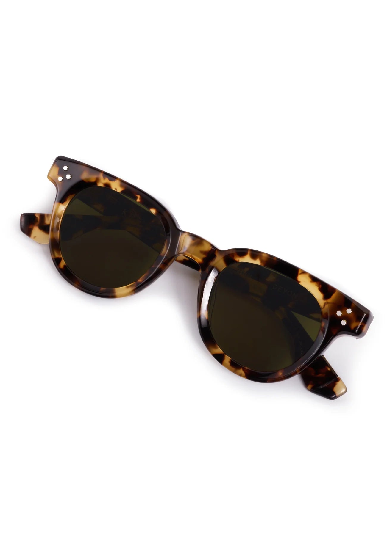 Devon - Nikko Tortoise | Krewe
