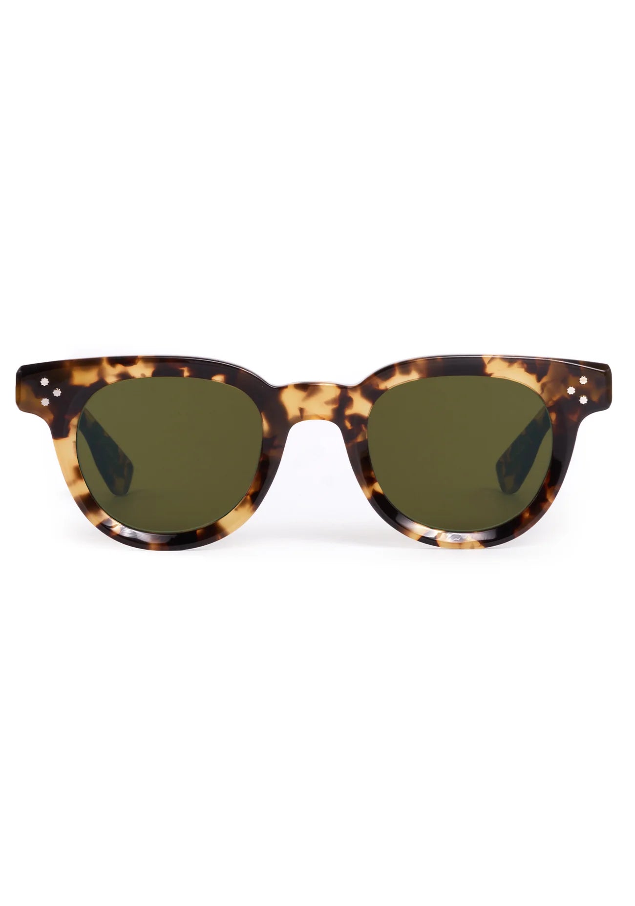 Devon - Nikko Tortoise | Krewe