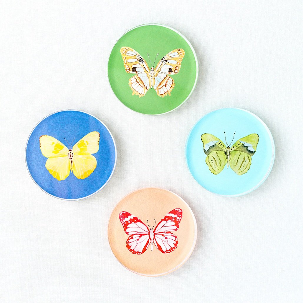 Acrylic Butterfly Coaster Set | Catherine Cartie