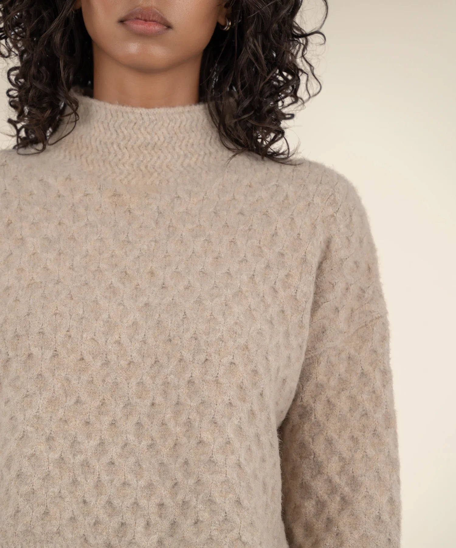 Adah- Pull On L/S High Neck Sweater | KUT