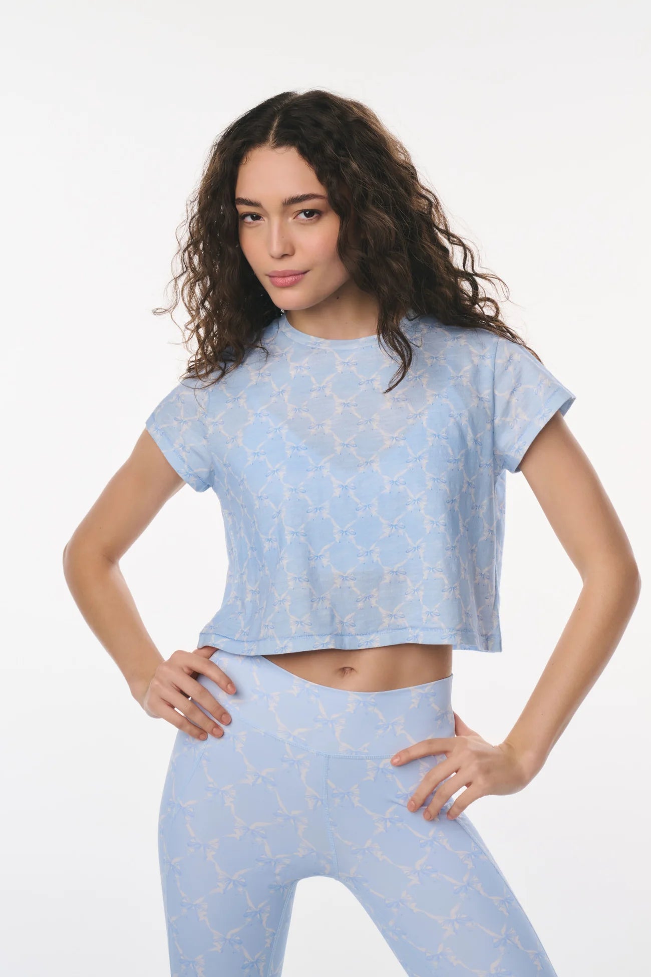 Rubin Cropped Tee - Chilled Blue | LoveShackFancy