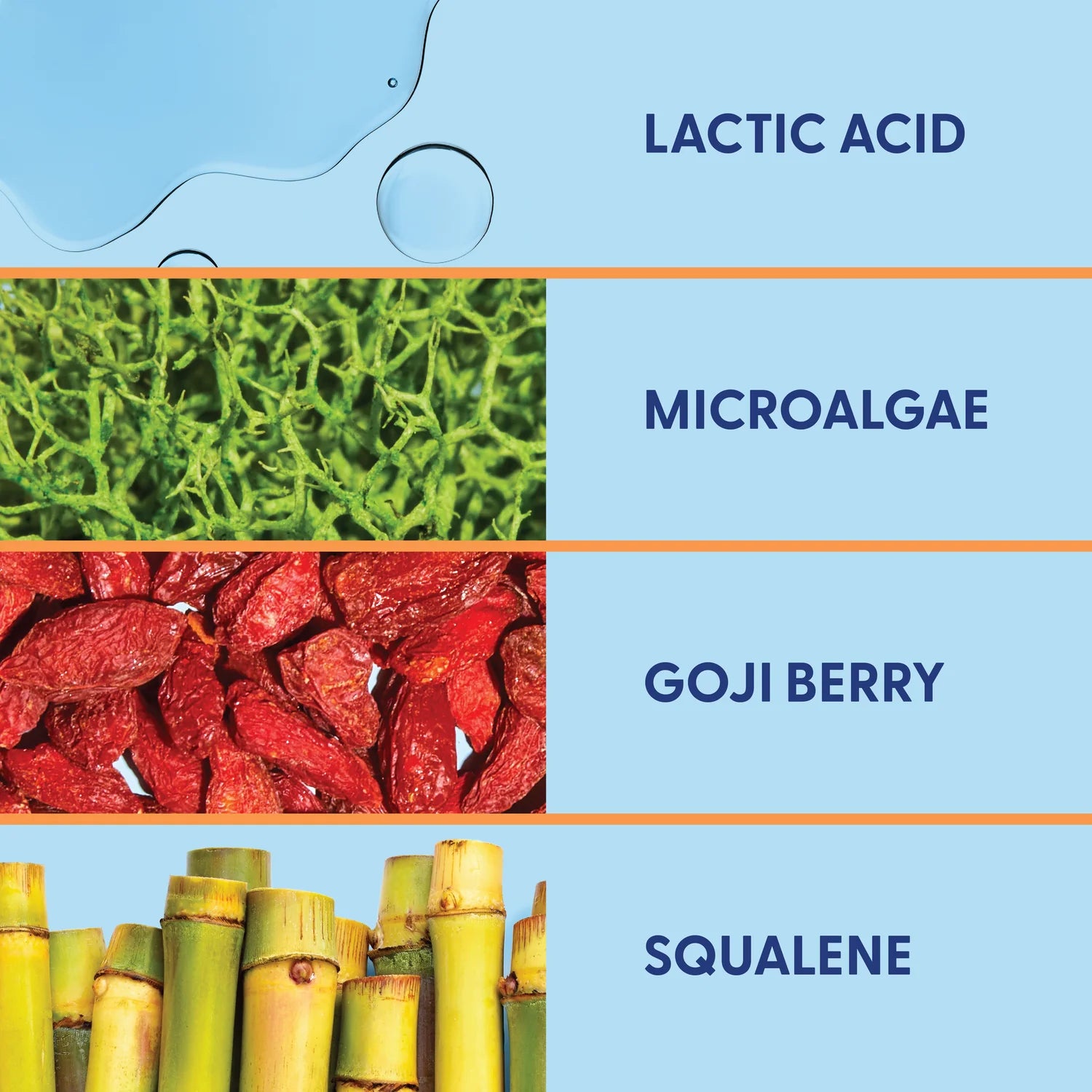 Team Gleam | Saint Crewe