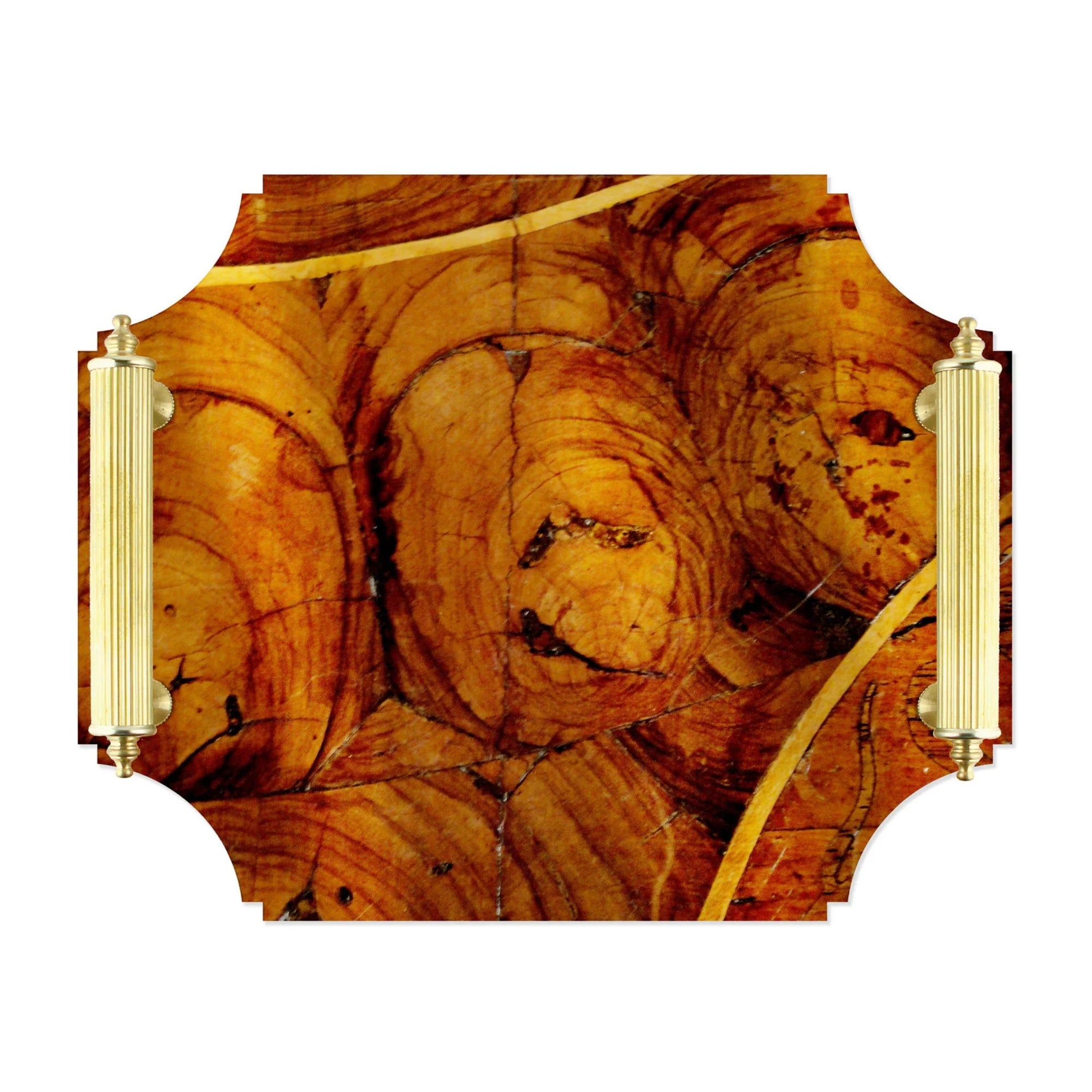 Oysterwood Acrylic Tray | Coco & Dash