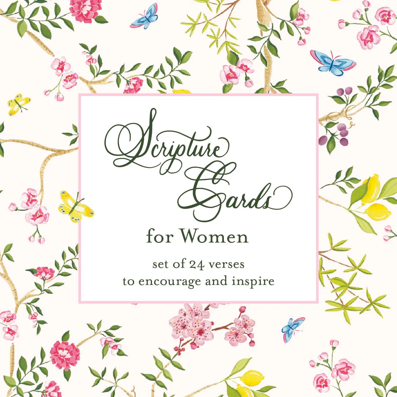 Women's Scripture Cards | Catherine Cartie