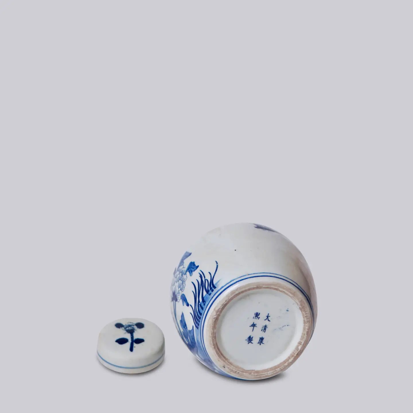 Blue and White Porcelain Pheasant Round Storage Jar