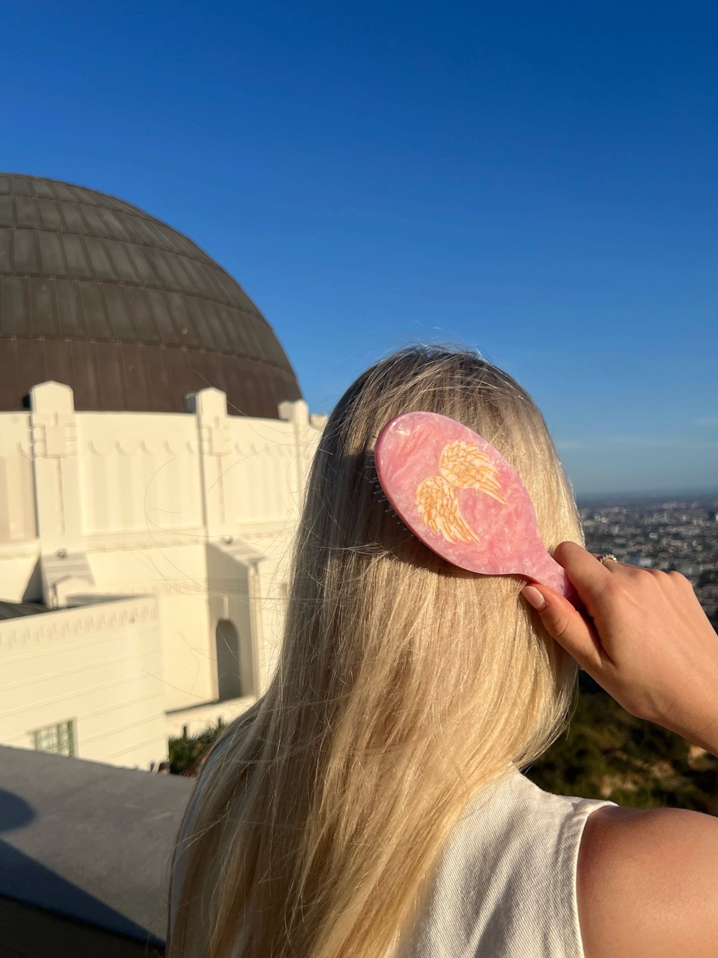 Hand-painted Angel Wings Amazing Hair Day Brush