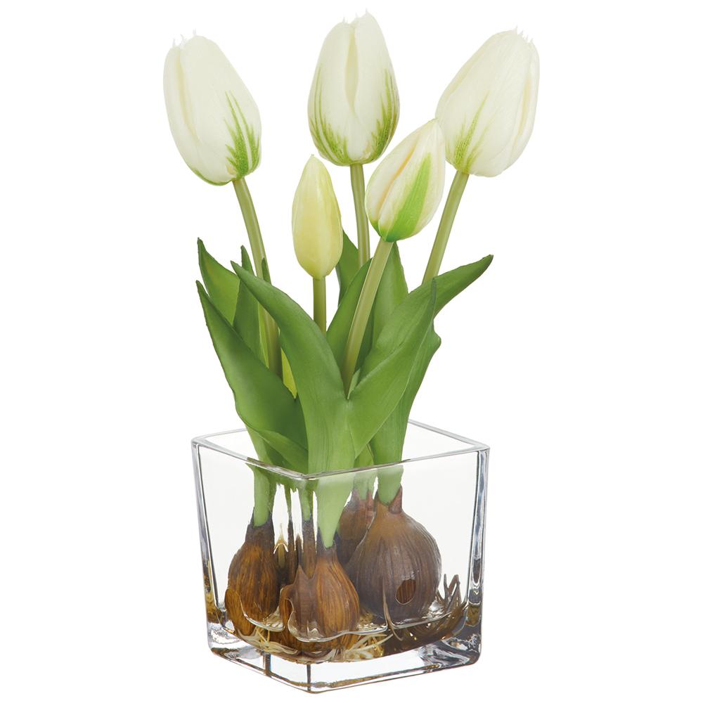 9" Tulip in Glass Vase