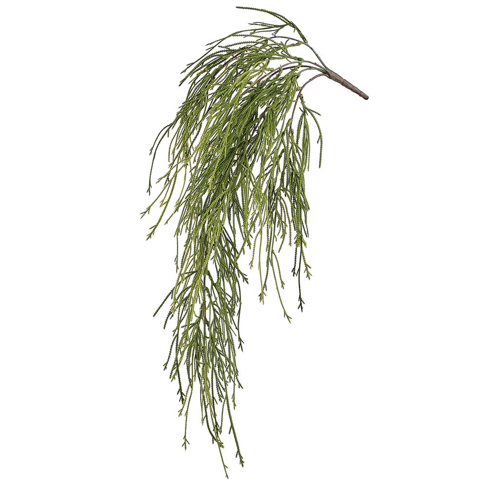 Club Moss Fern Hanging Bush (29.5")