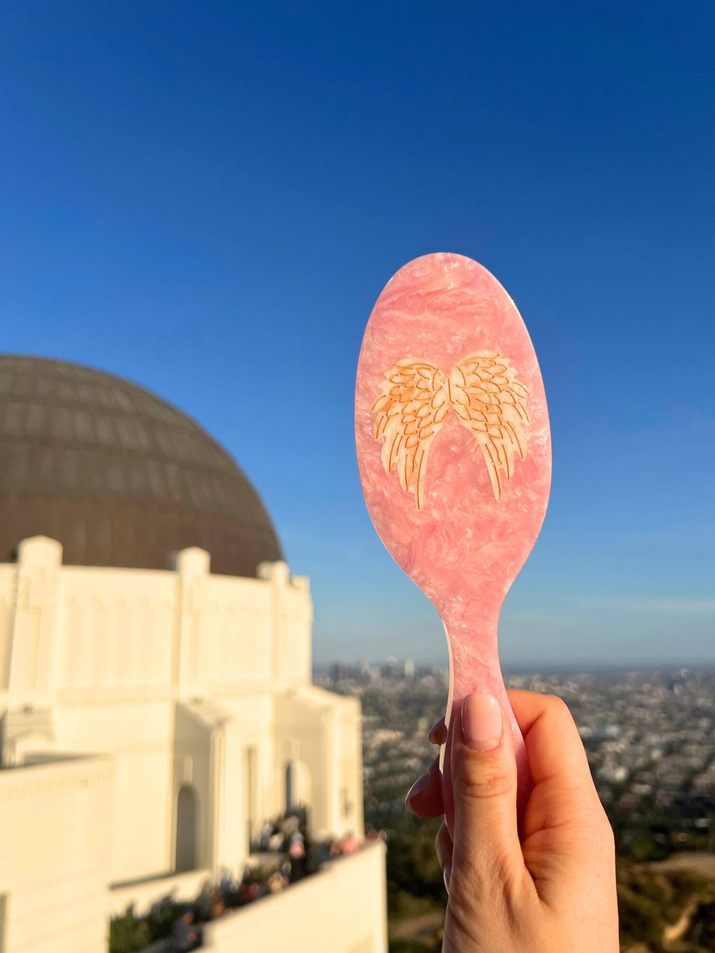 Hand-painted Angel Wings Amazing Hair Day Brush
