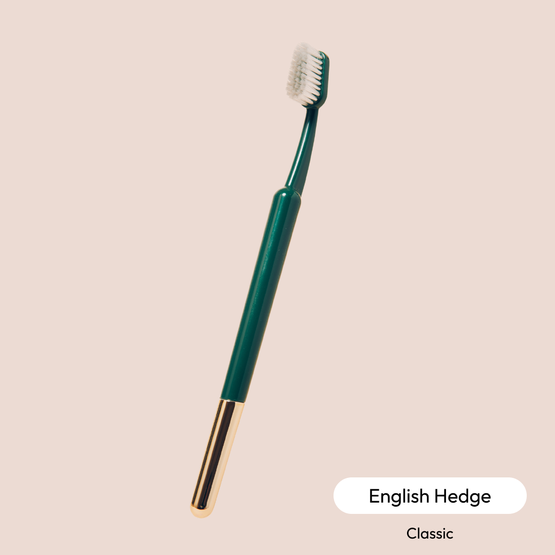 The Better Brush | TRASK