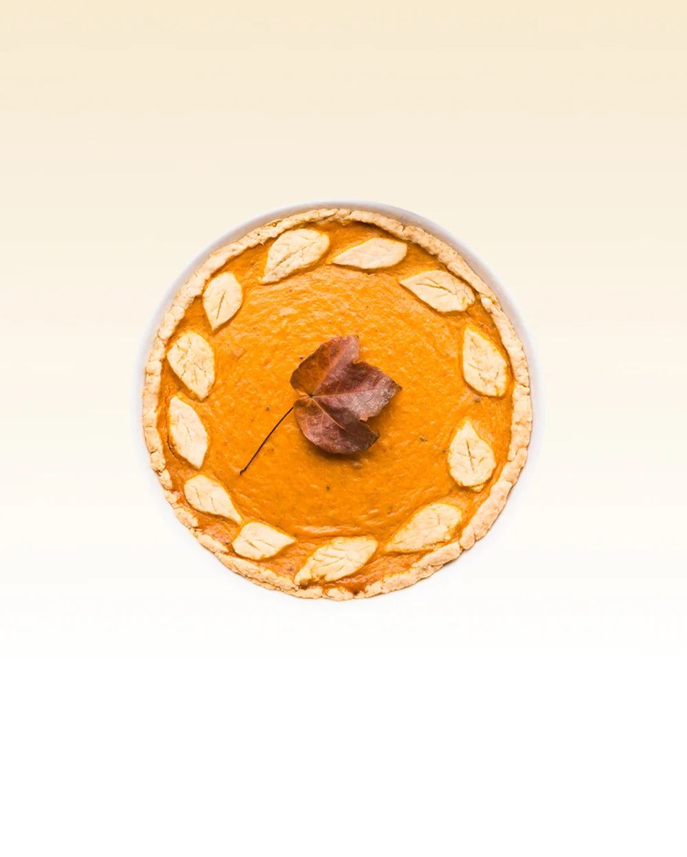 Harvest Muse - Velvet Pumpkin Candle | Glasshosue
