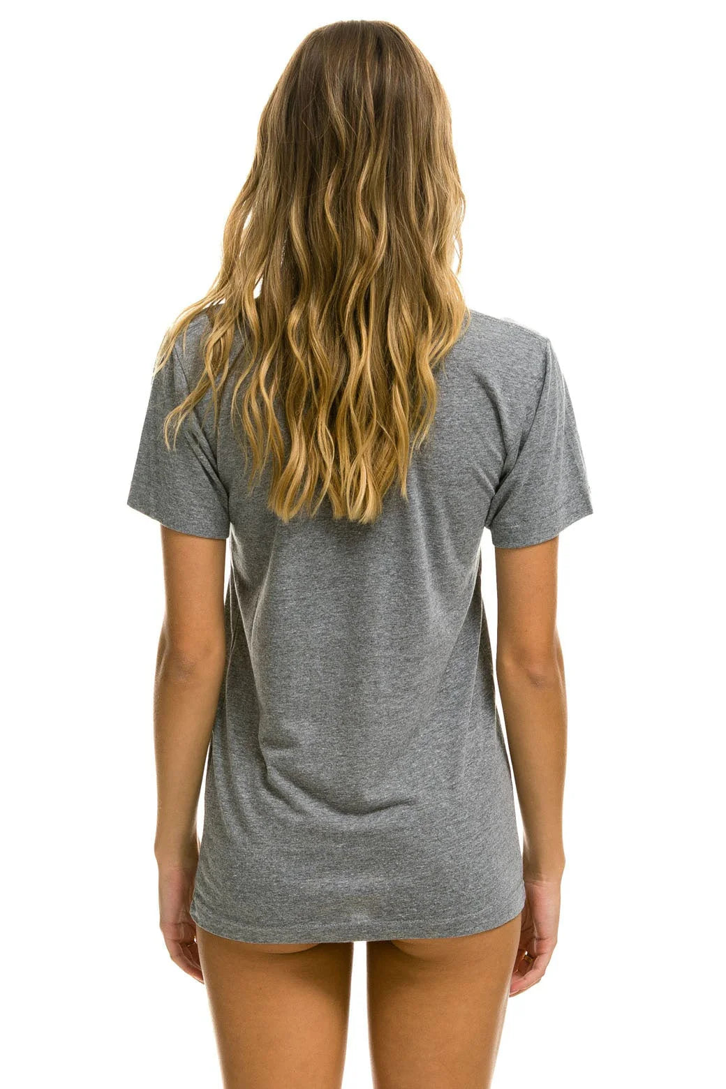 Logo Tee - Heather Grey | Aviator Nation