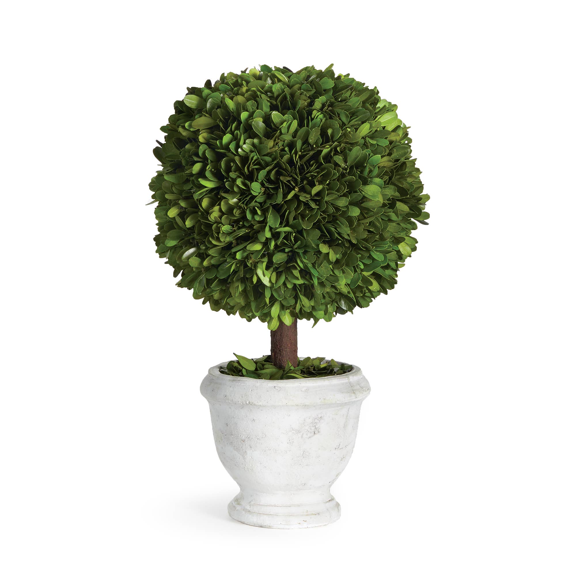 Boxwood Single 9" Ball Topiary In Pot | NAPA HOME
