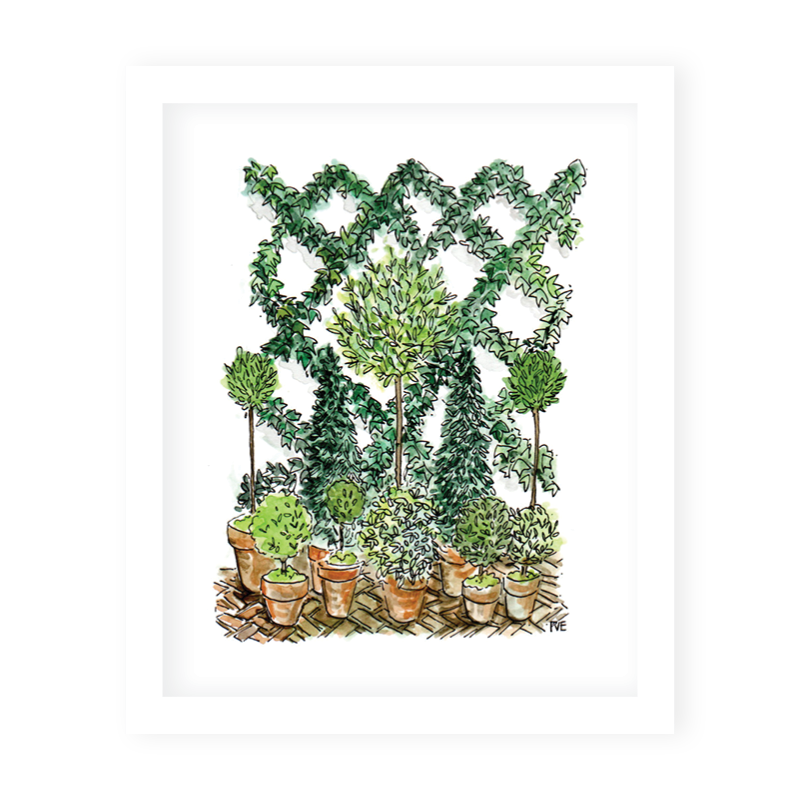 Emerald Trellis 11x14 Inch Art Print